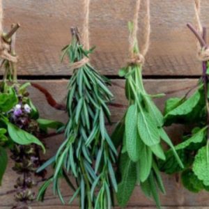 Taller de cocina con plantas aromáticas medicinales mecenas