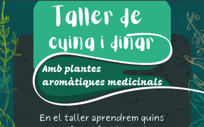 Taller de cocina, día 11 de febrero